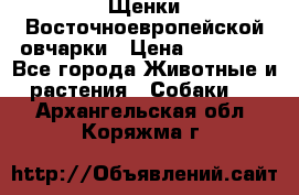 Щенки Восточноевропейской овчарки › Цена ­ 25 000 - Все города Животные и растения » Собаки   . Архангельская обл.,Коряжма г.